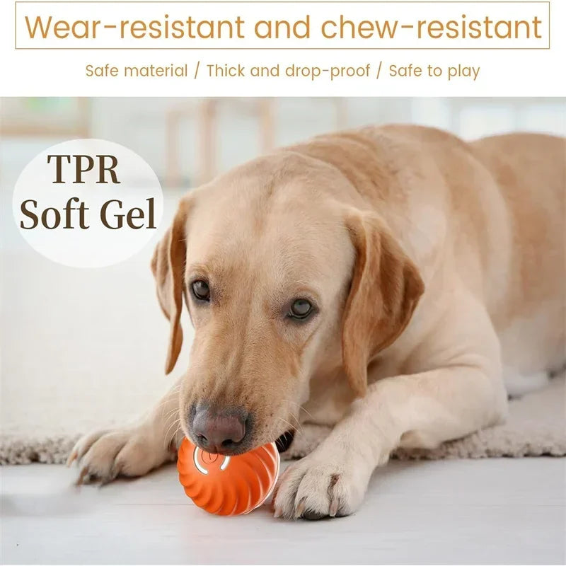 USB-Powered Interactive Moving Ball for Dogs and Cats - Electronic Pet Toy for Home and Pool Use