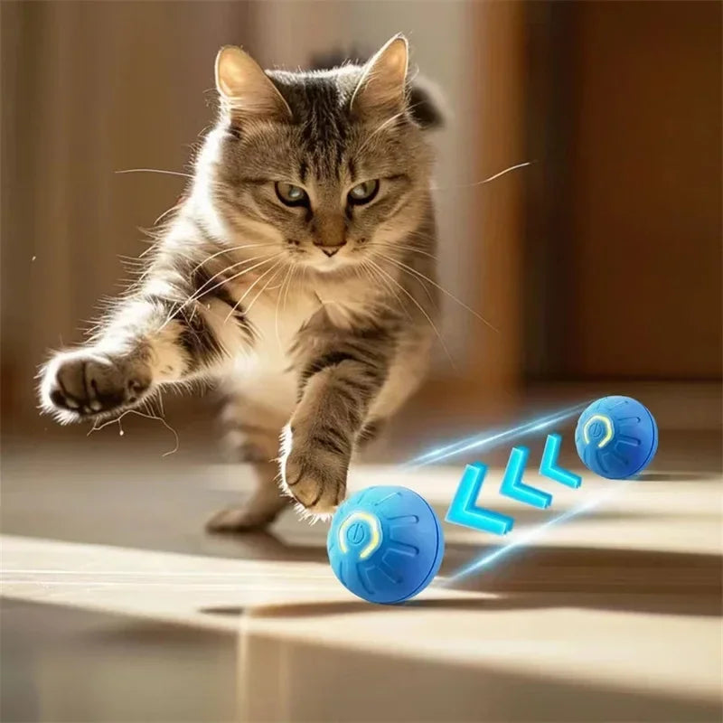 USB-Powered Interactive Moving Ball for Dogs and Cats - Electronic Pet Toy for Home and Pool Use